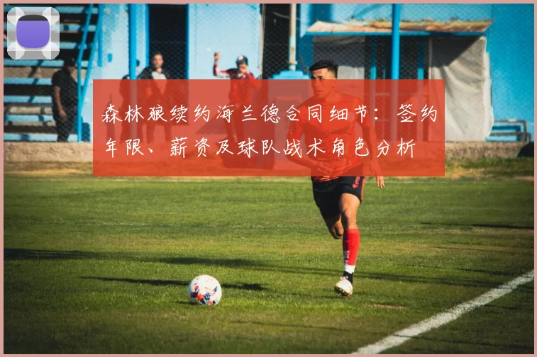 森林狼续约海兰德合同细节：签约年限、薪资及球队战术角色分析